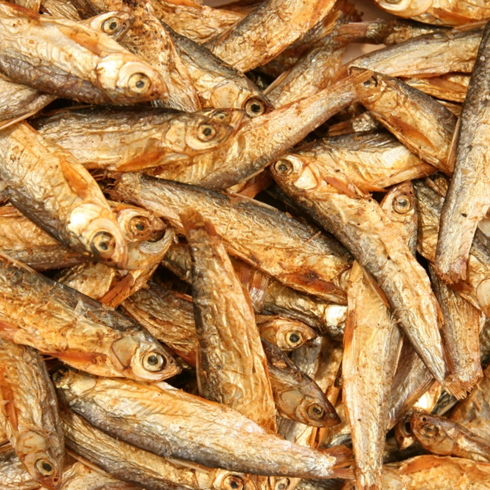 Suszony Mix dla Żółwi Gadów Wodnych 3x200g Gammarus Krewetki Stynka Pokarm